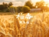 周杰伦 -《稻香》